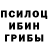 Галлюциногенные грибы мицелий O Perchenok