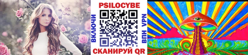 Псилоцибиновые грибы GOLDEN TEACHER Рославль